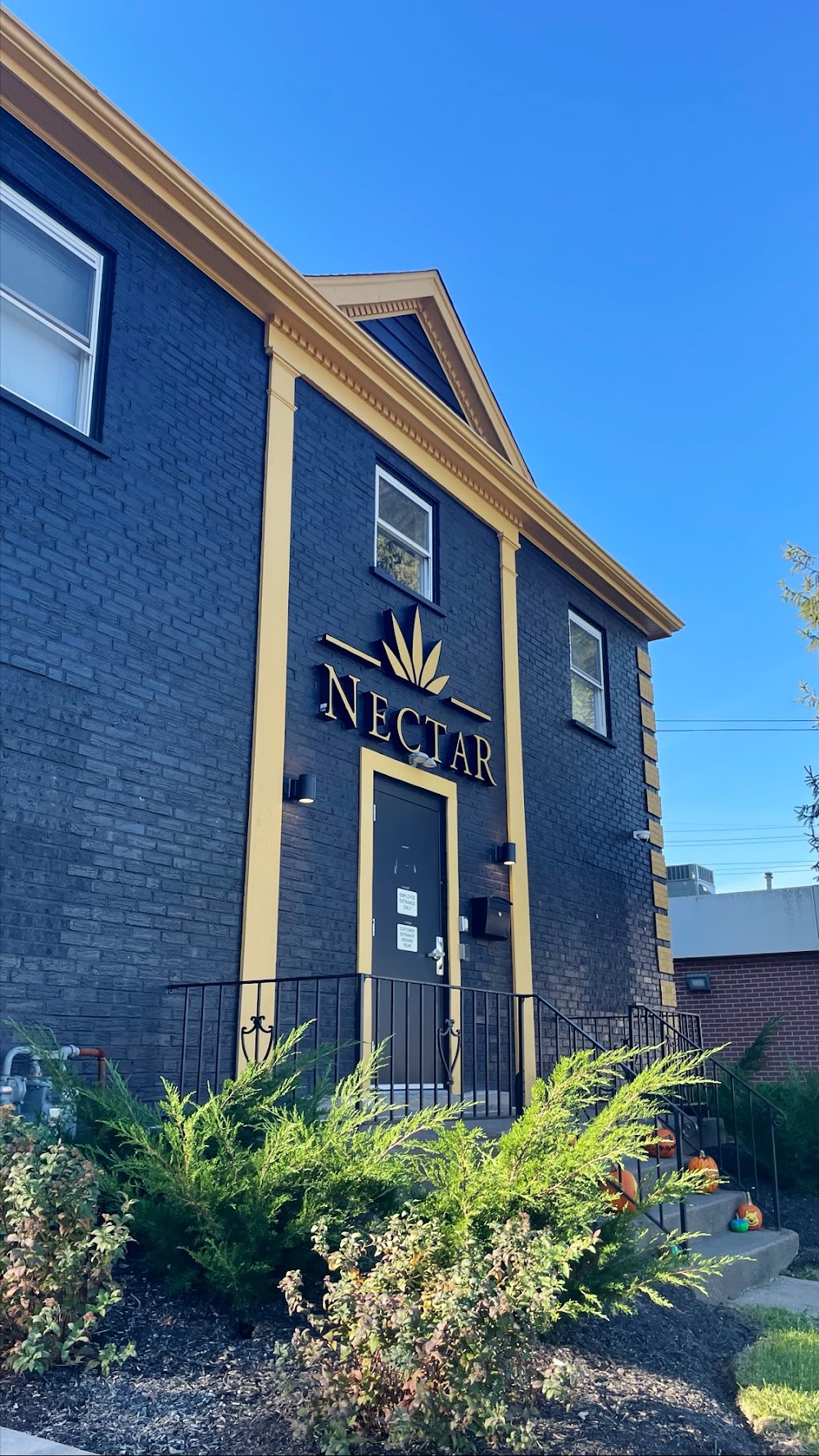 Nectar Medical Cannabis photo 7