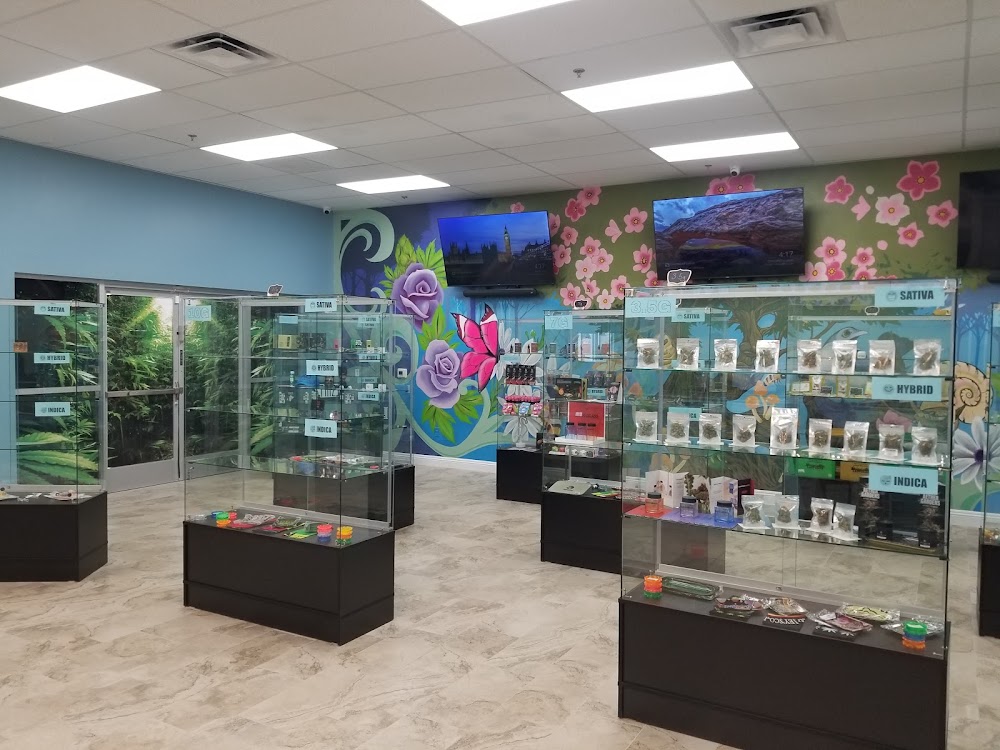 Nevada Wellness Center West photo 2