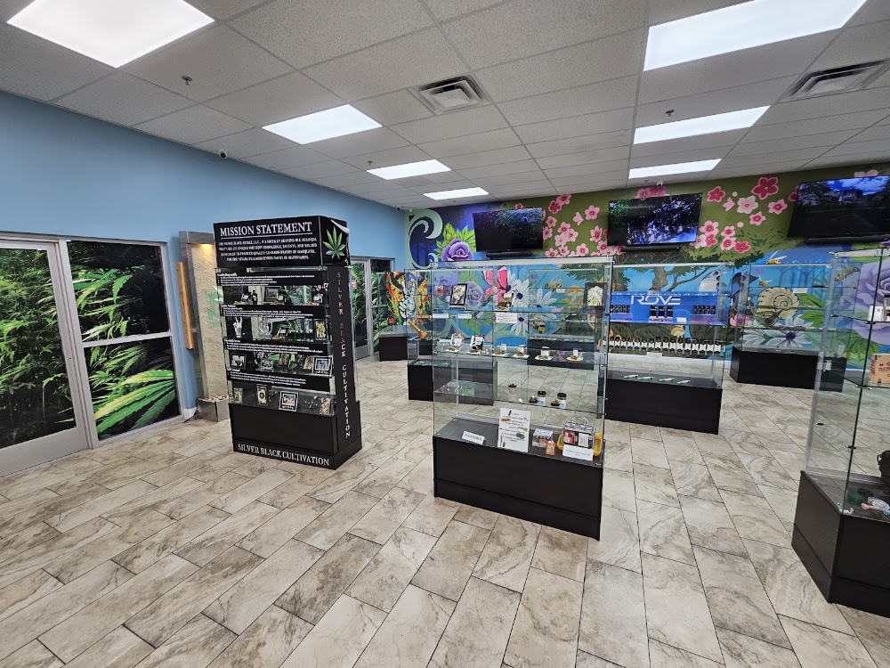Nevada Wellness Center West photo 8