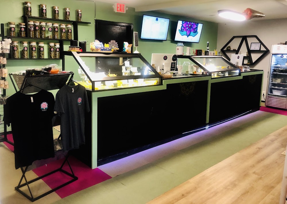Nlightn Cannabis Company - Texoma Labs photo 8