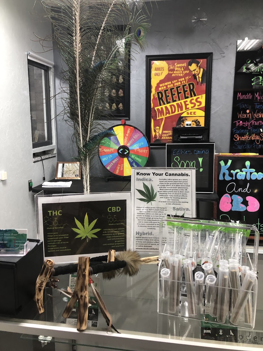 No Rhyme Or Reason Medical Marijuana Dispensary photo 6