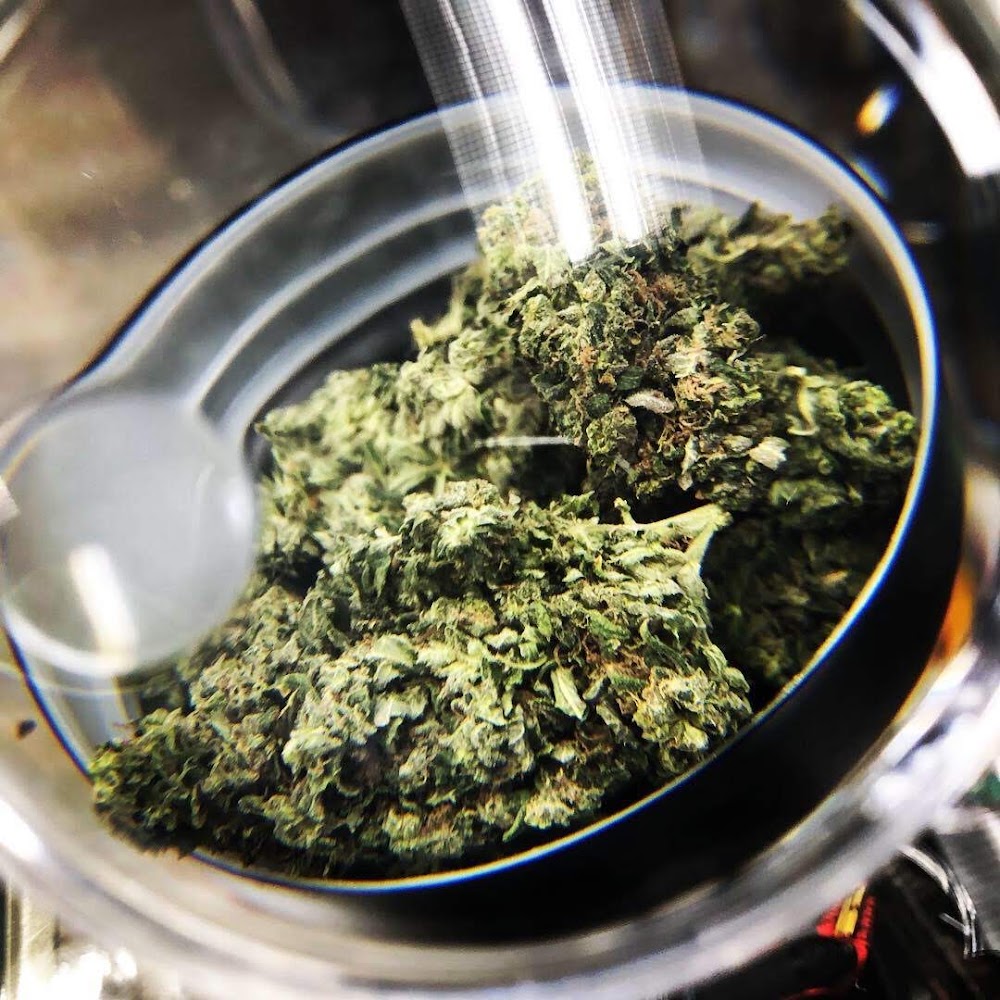 No Rhyme Or Reason Medical Marijuana Dispensary photo 7