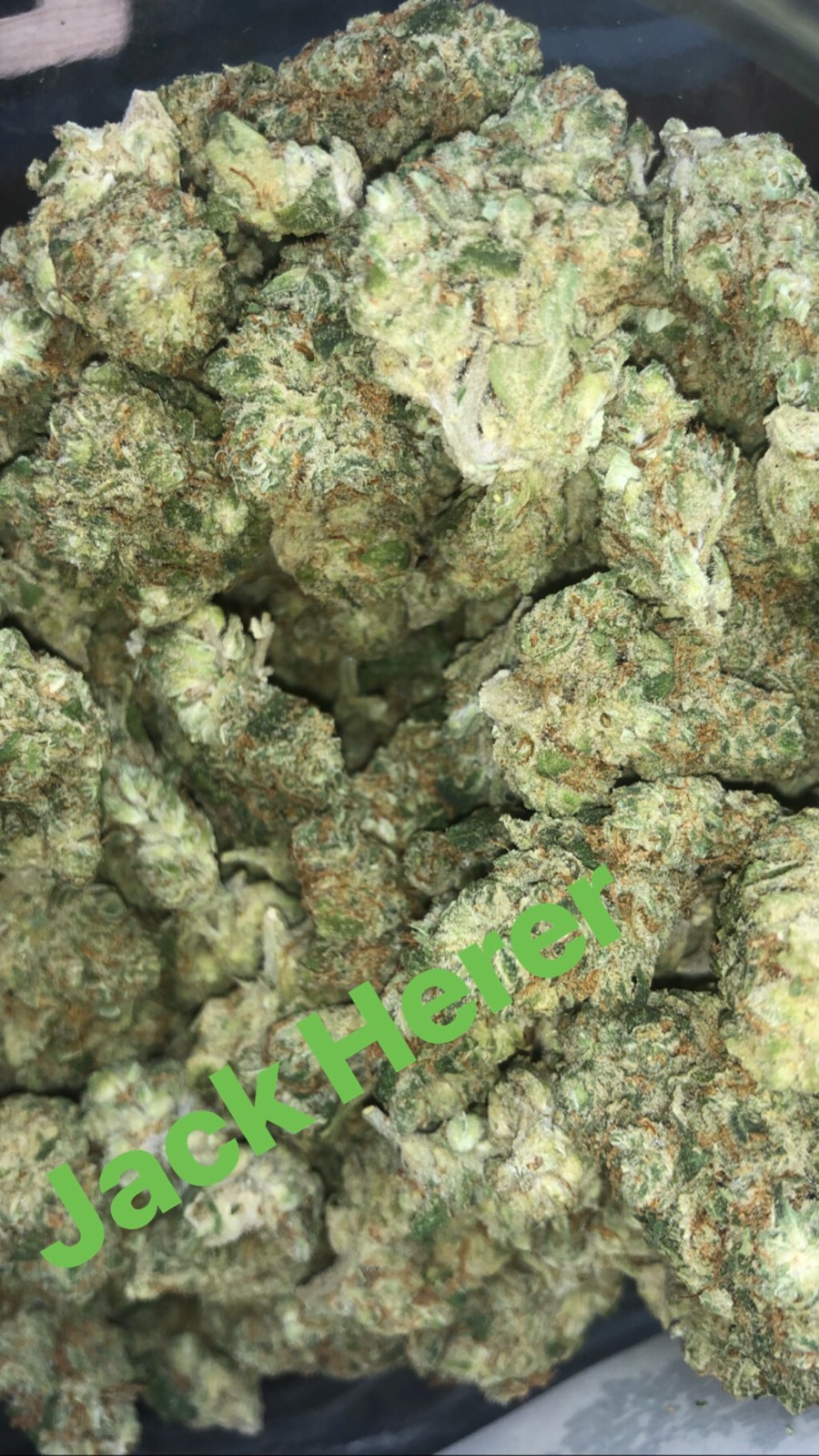 North Star Cannabis photo 4