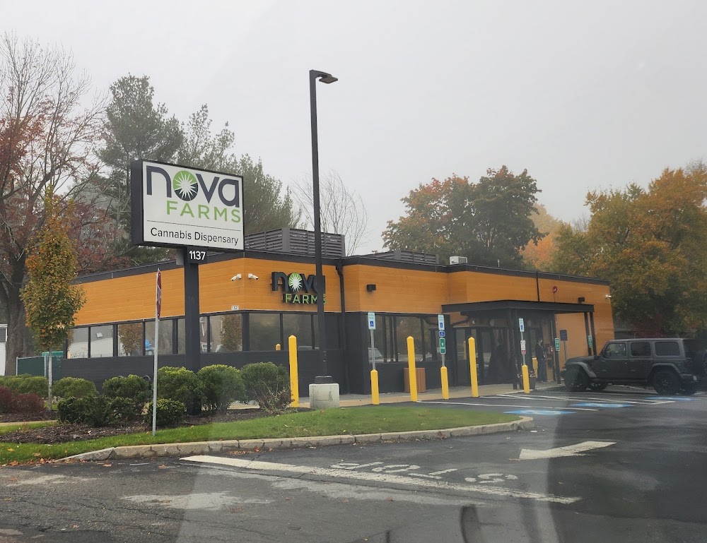 Nova Farms photo 1