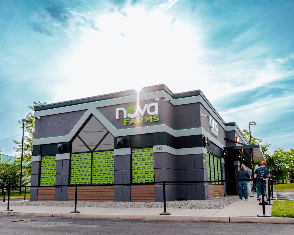 Nova Farms photo 4