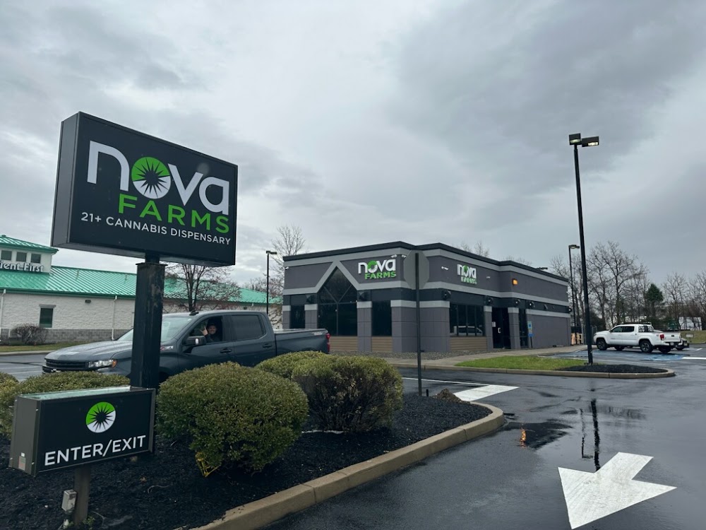 Nova Farms photo 7