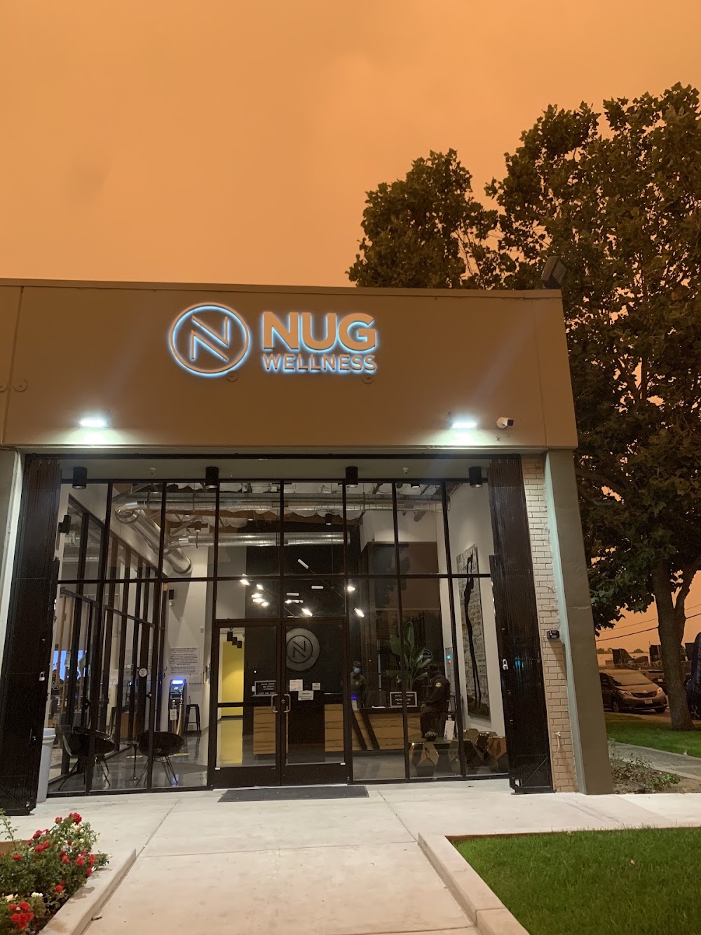 Nug Wellness photo 1