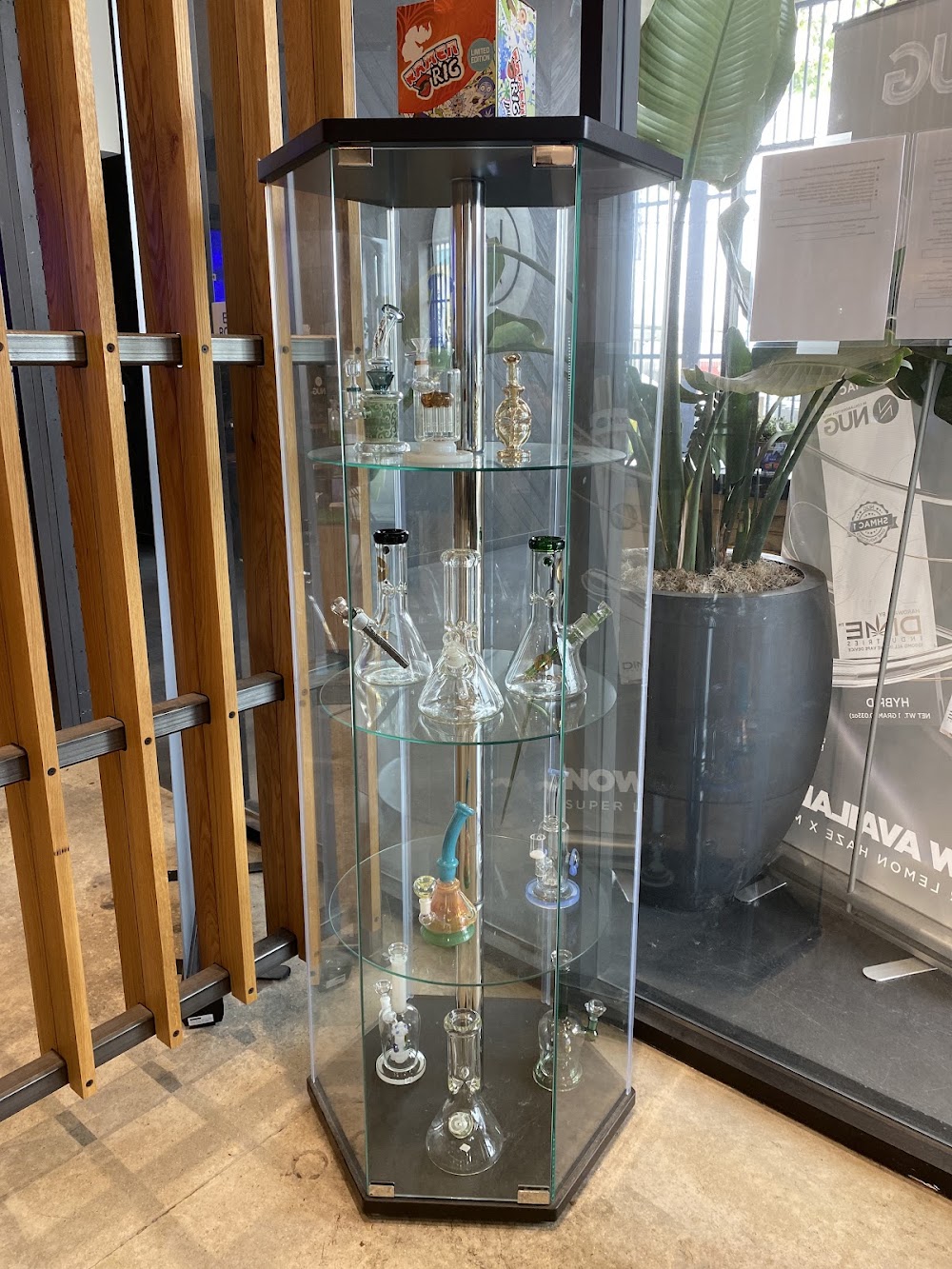 Nug Wellness photo 4