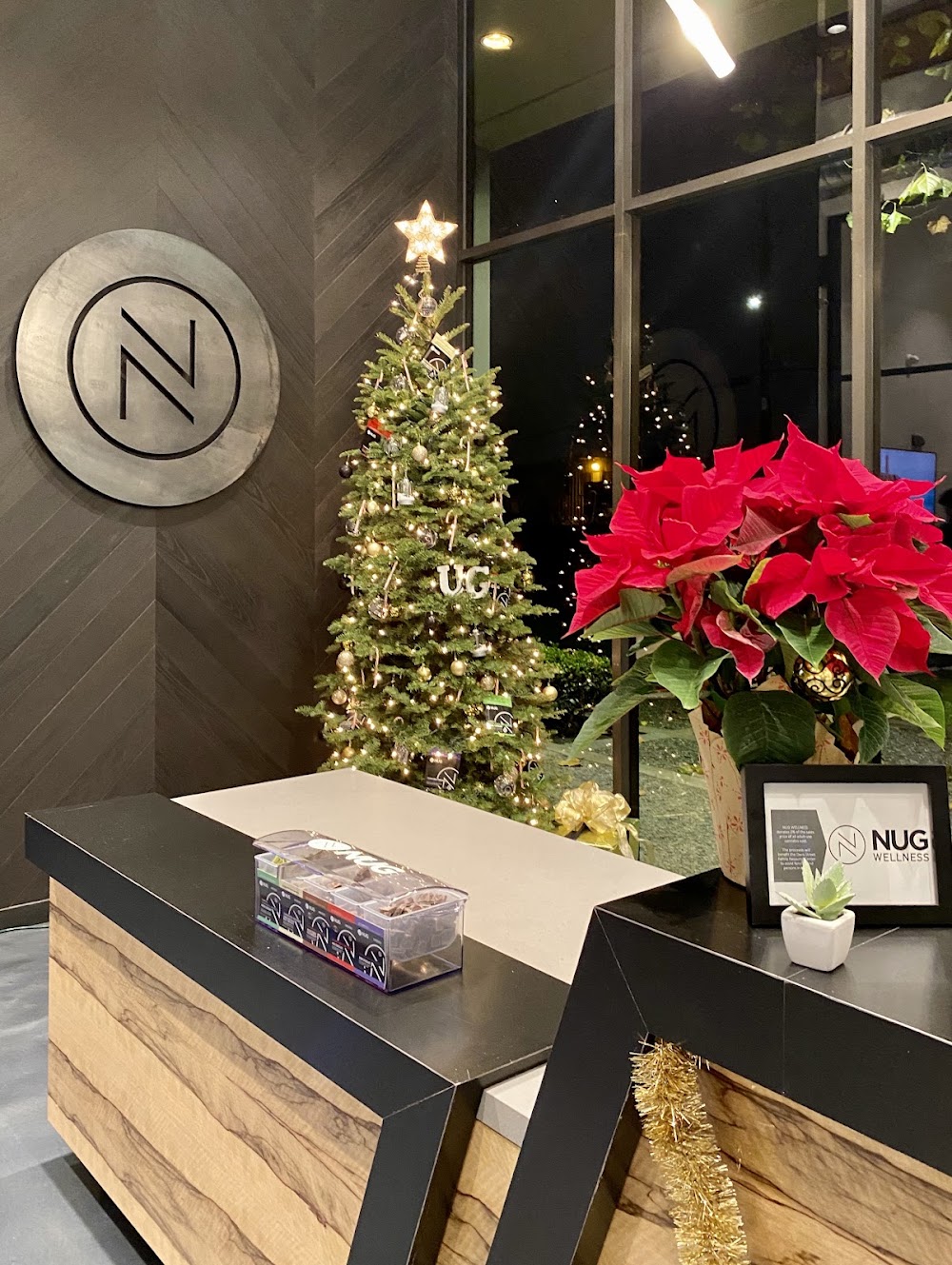 Nug Wellness photo 7