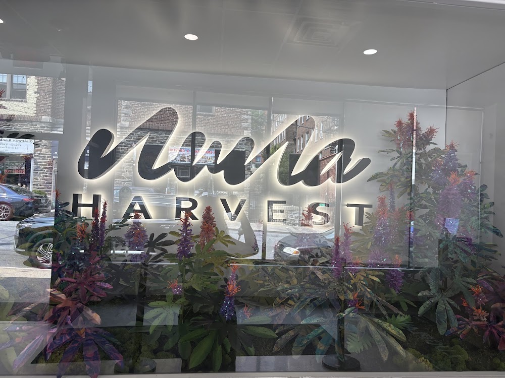 Nuna Harvest photo 1