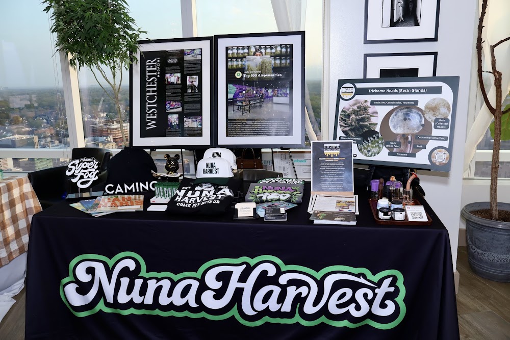Nuna Harvest photo 4