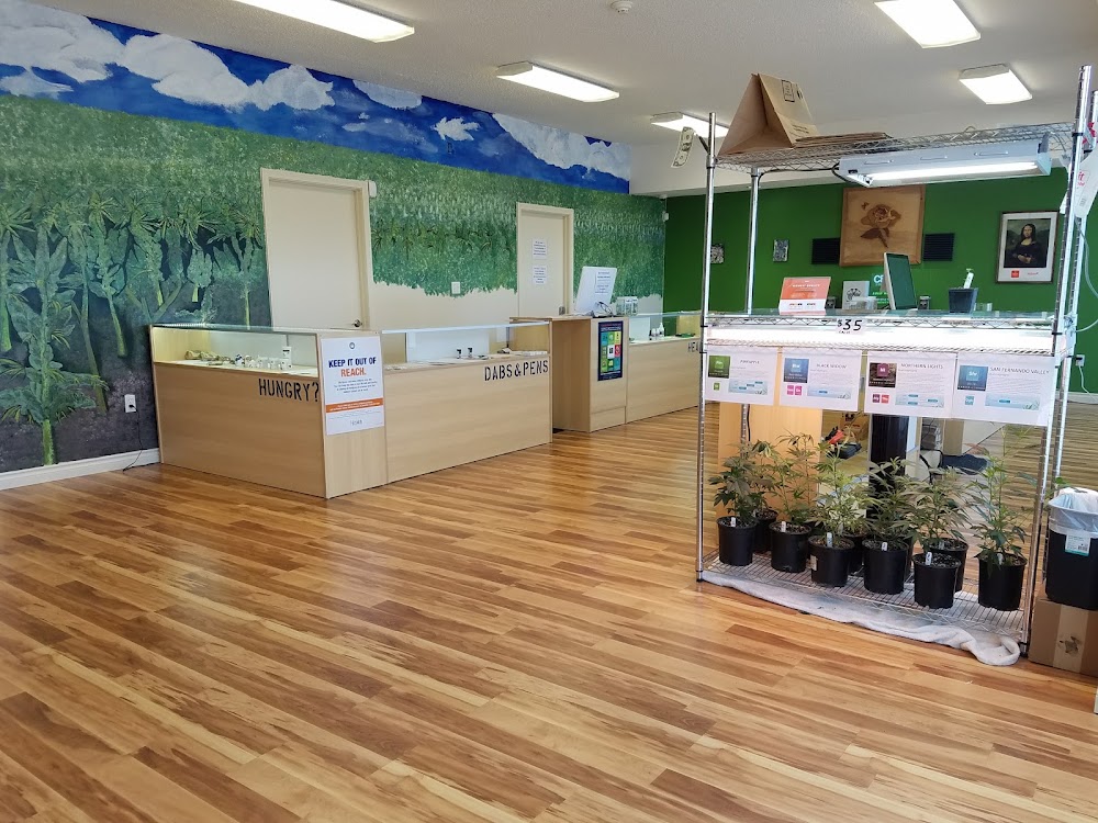 Oasis Cannabis photo 5