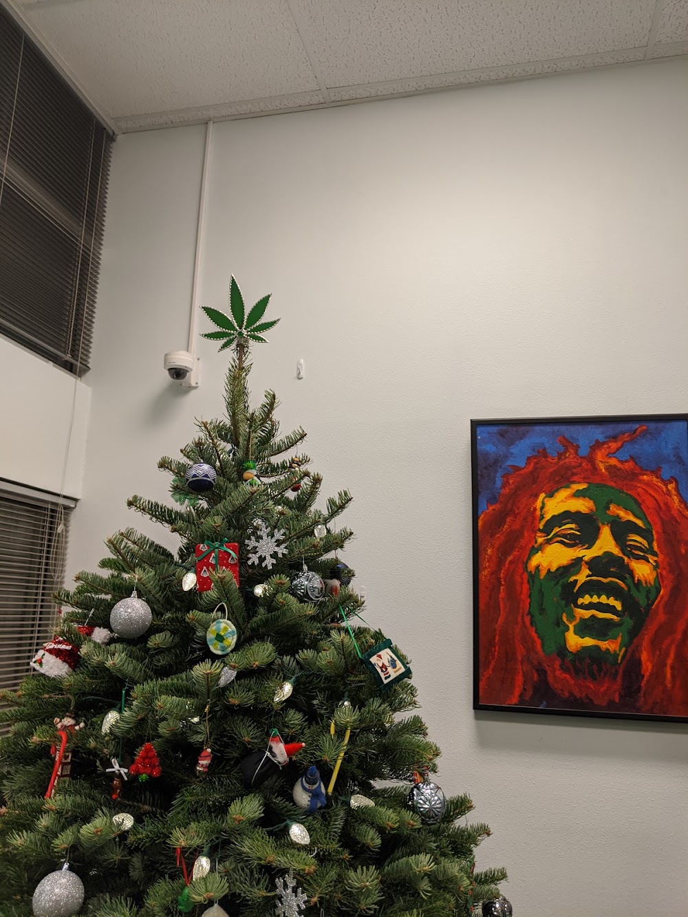 Oasis Cannabis photo 6