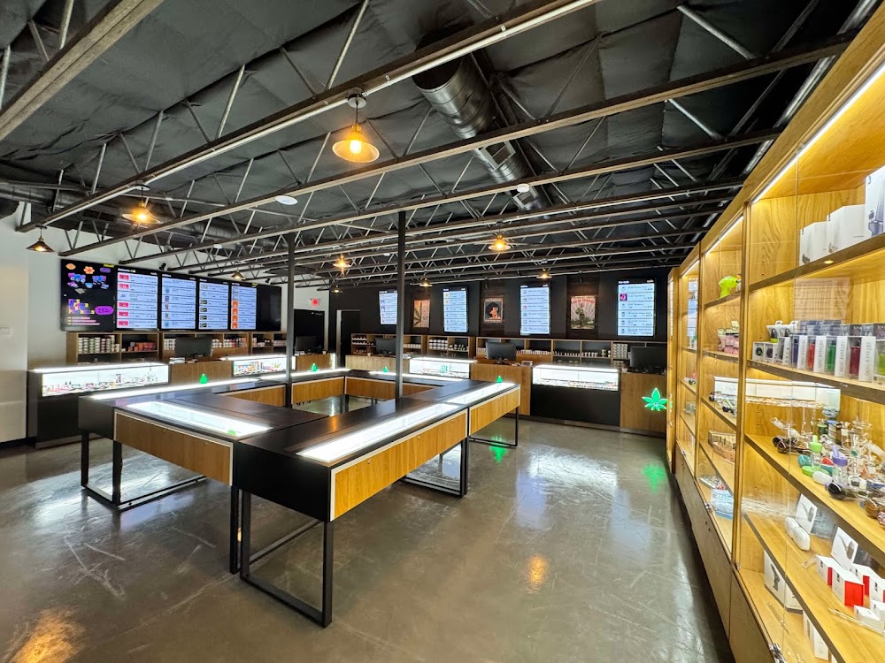 Oasis Cannabis - Osuna photo 8