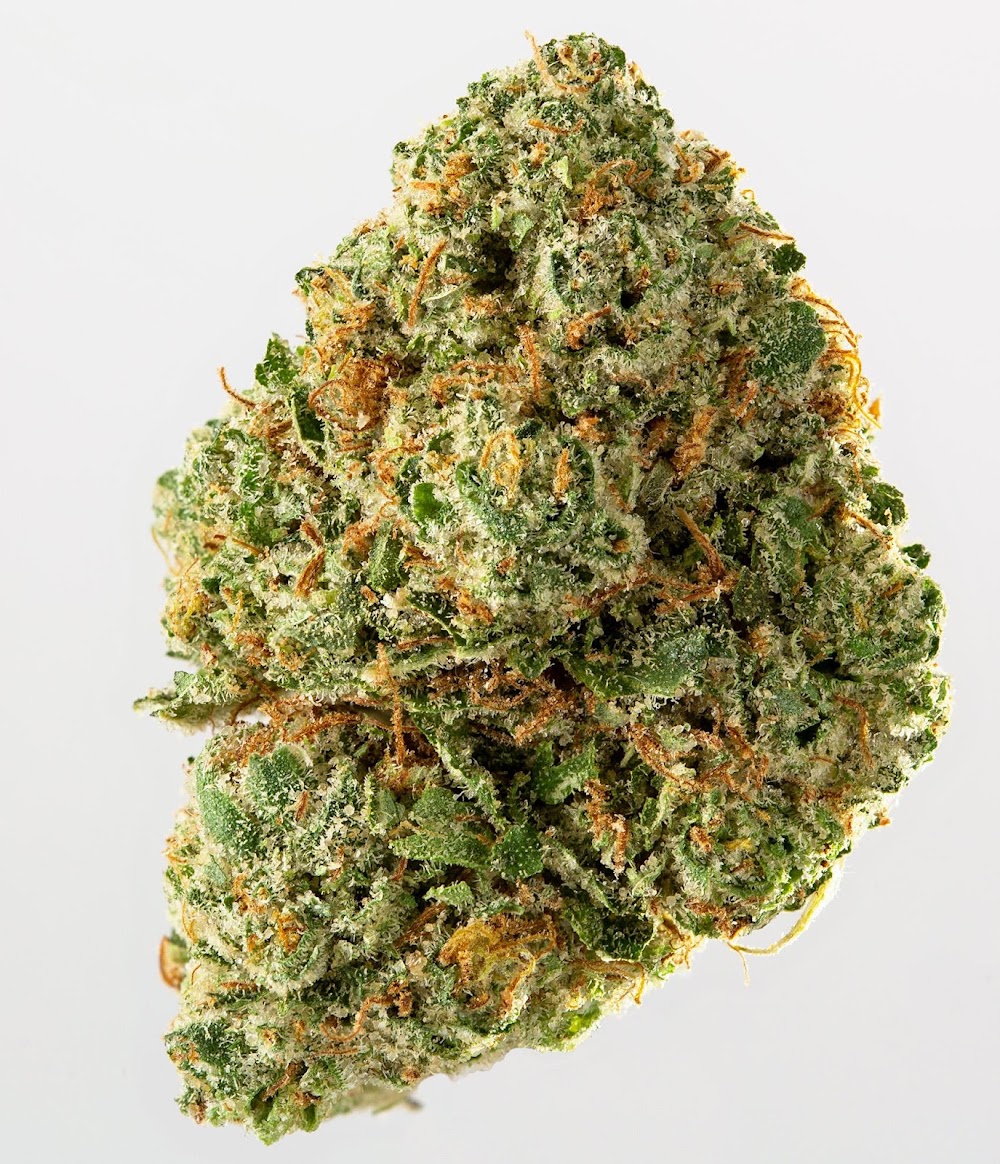 Oasis Cannabis Superstore photo 5