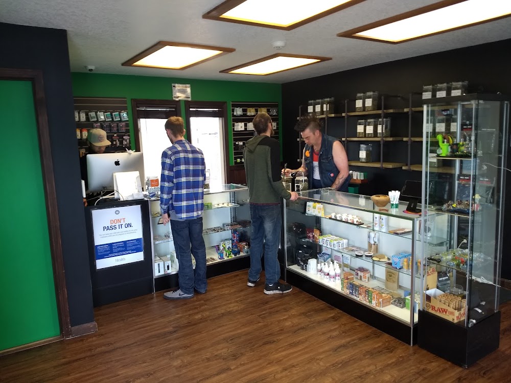 Oasis Cannabis photo 2