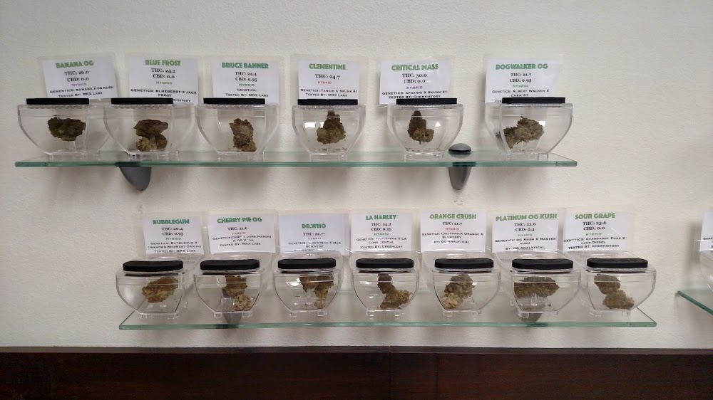 Oasis Cannabis photo 5