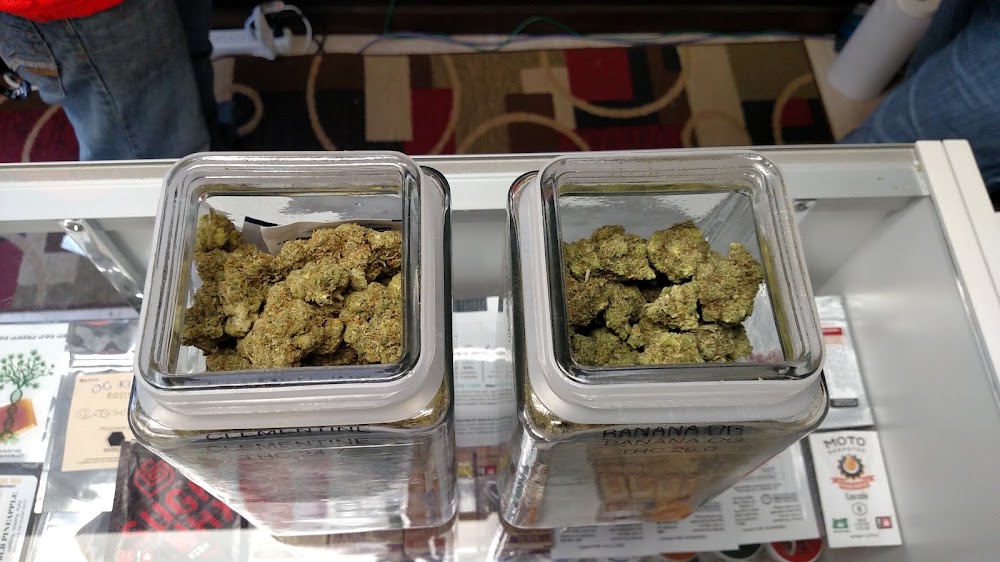 Oasis Cannabis photo 7