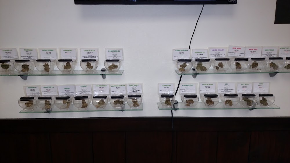 Oasis Cannabis photo 8