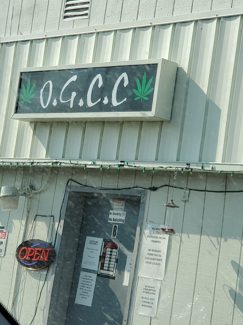 Ocean Grown Cannabis Company photo 4