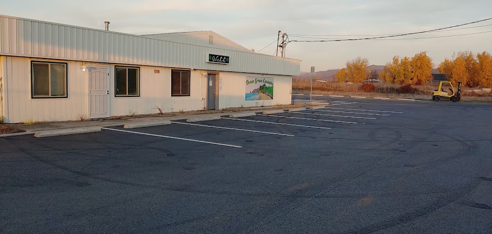 Ocean Grown Cannabis Company photo 6