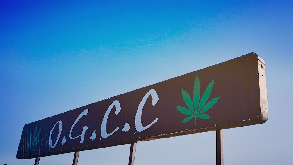 Ocean Grown Cannabis Company photo 7