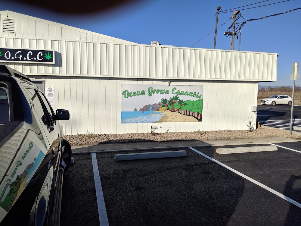 Ocean Grown Cannabis Company photo 8