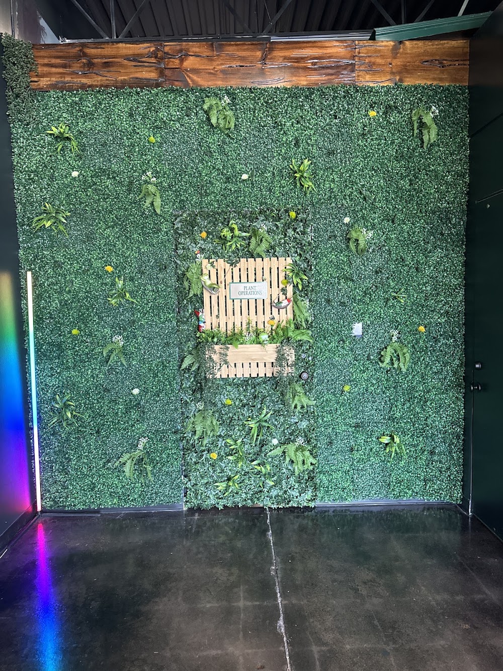 Oddfellow Dispensary photo 4