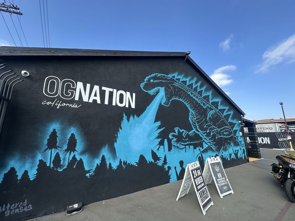 Og Nation photo 1