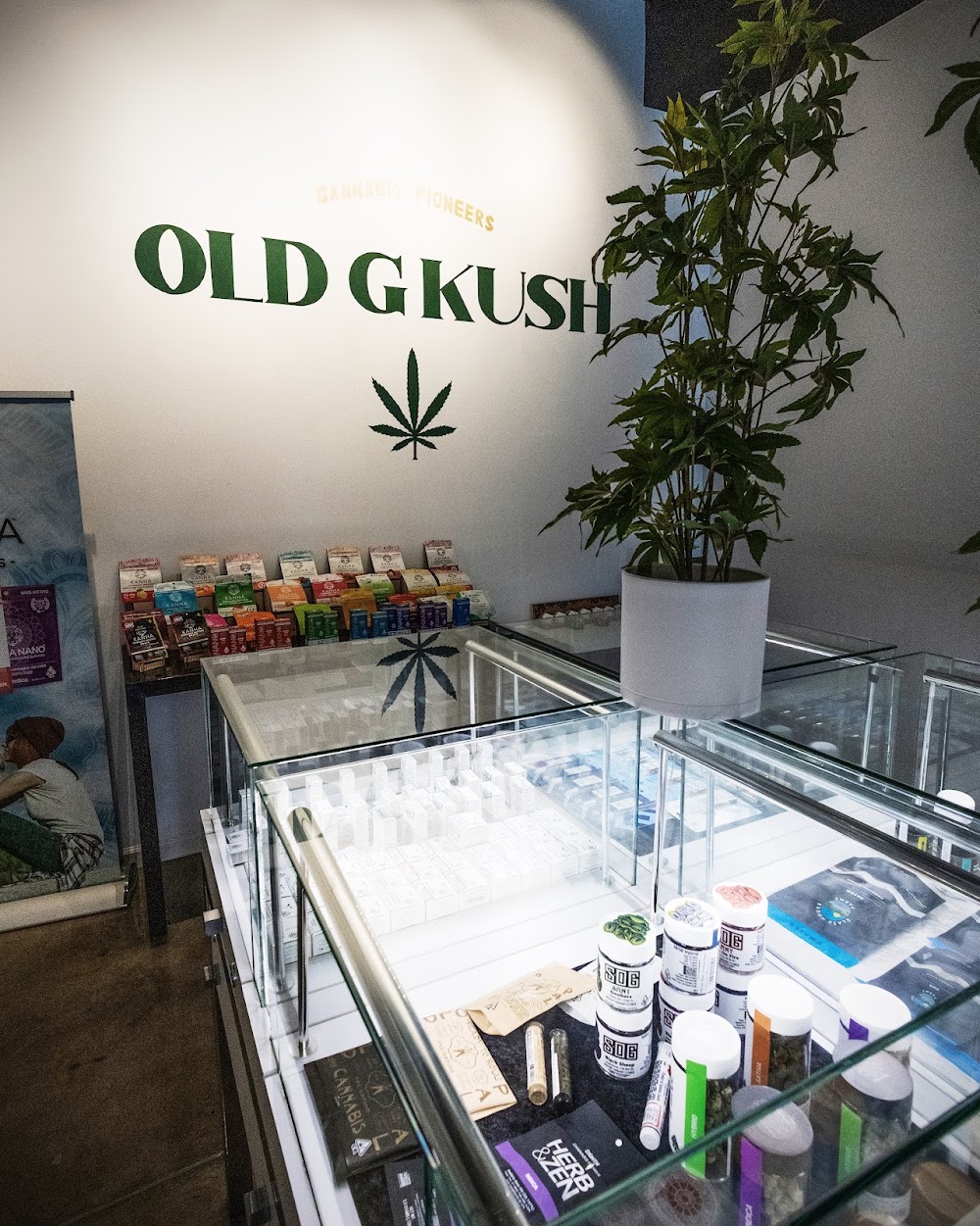 Old G Kush photo 7