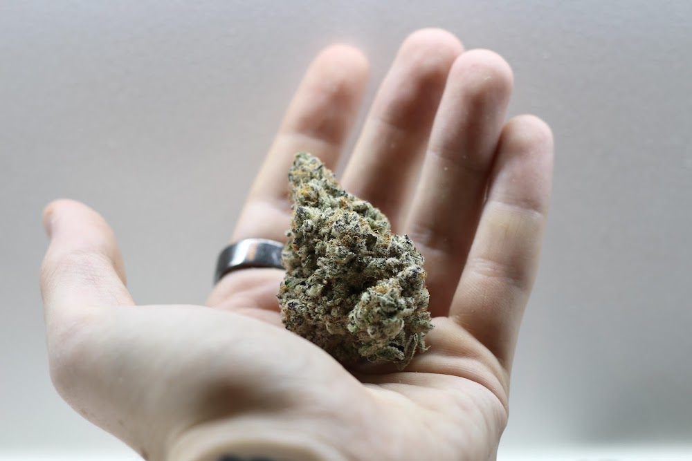 Omg Cannabis CO. photo 6