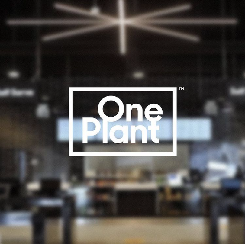 One Plant Monterey photo 2