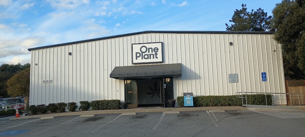 One Plant Monterey photo 7