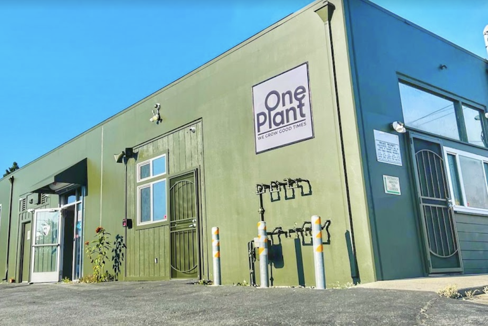 One Plant Santa Cruz photo 1