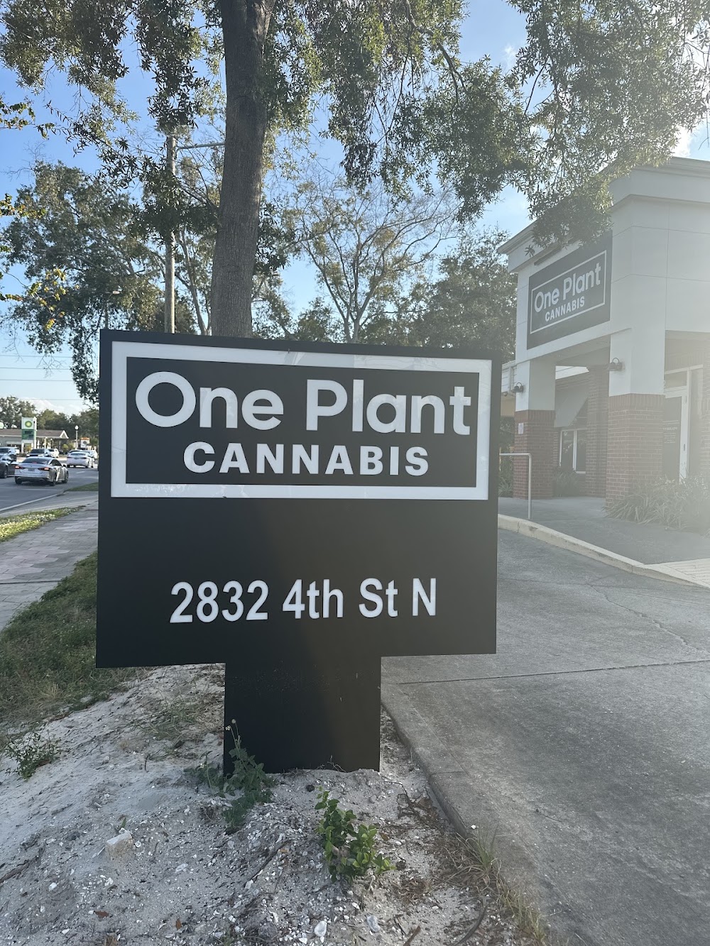 One Plant photo 5