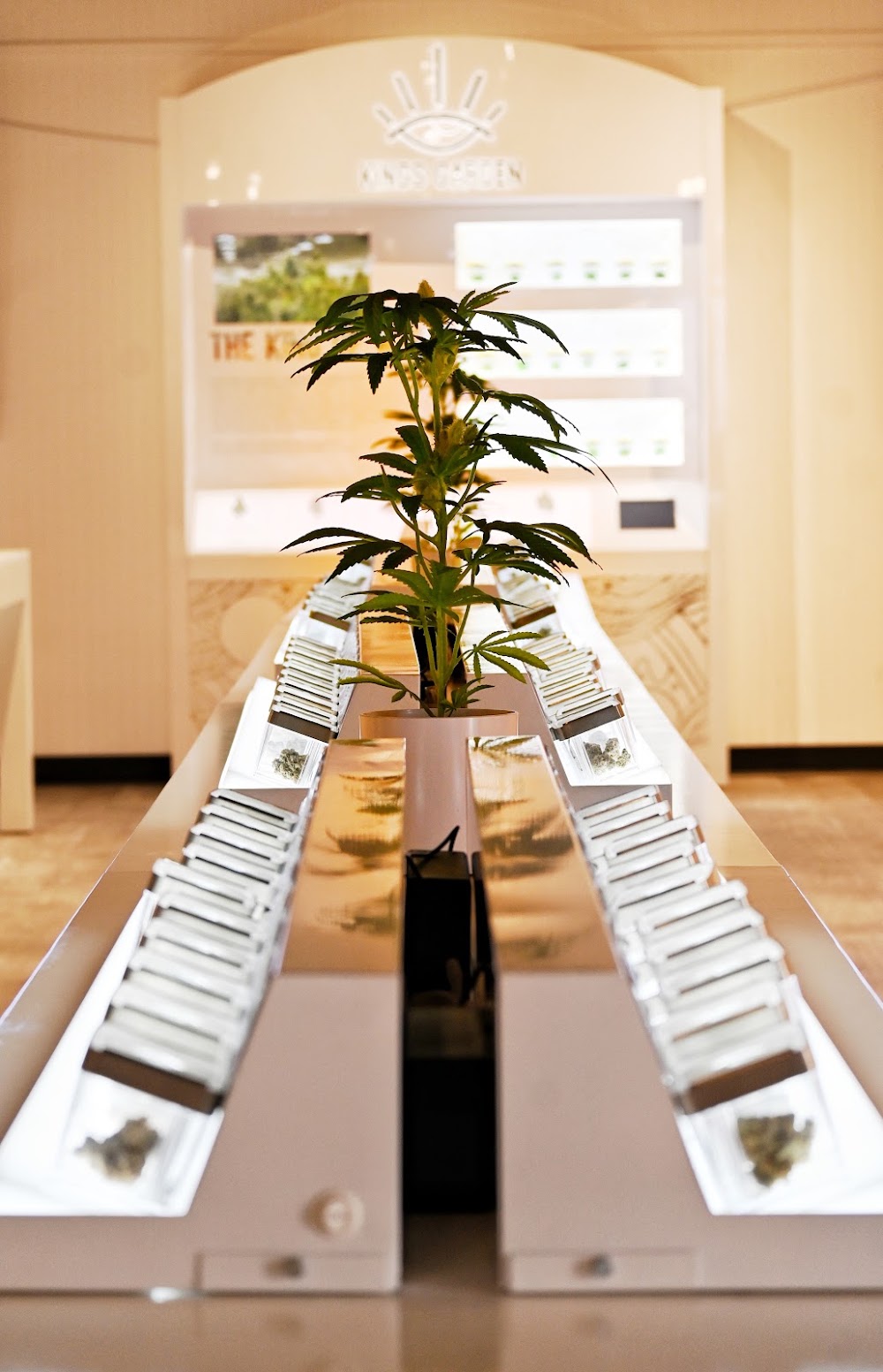 One Plant photo 5