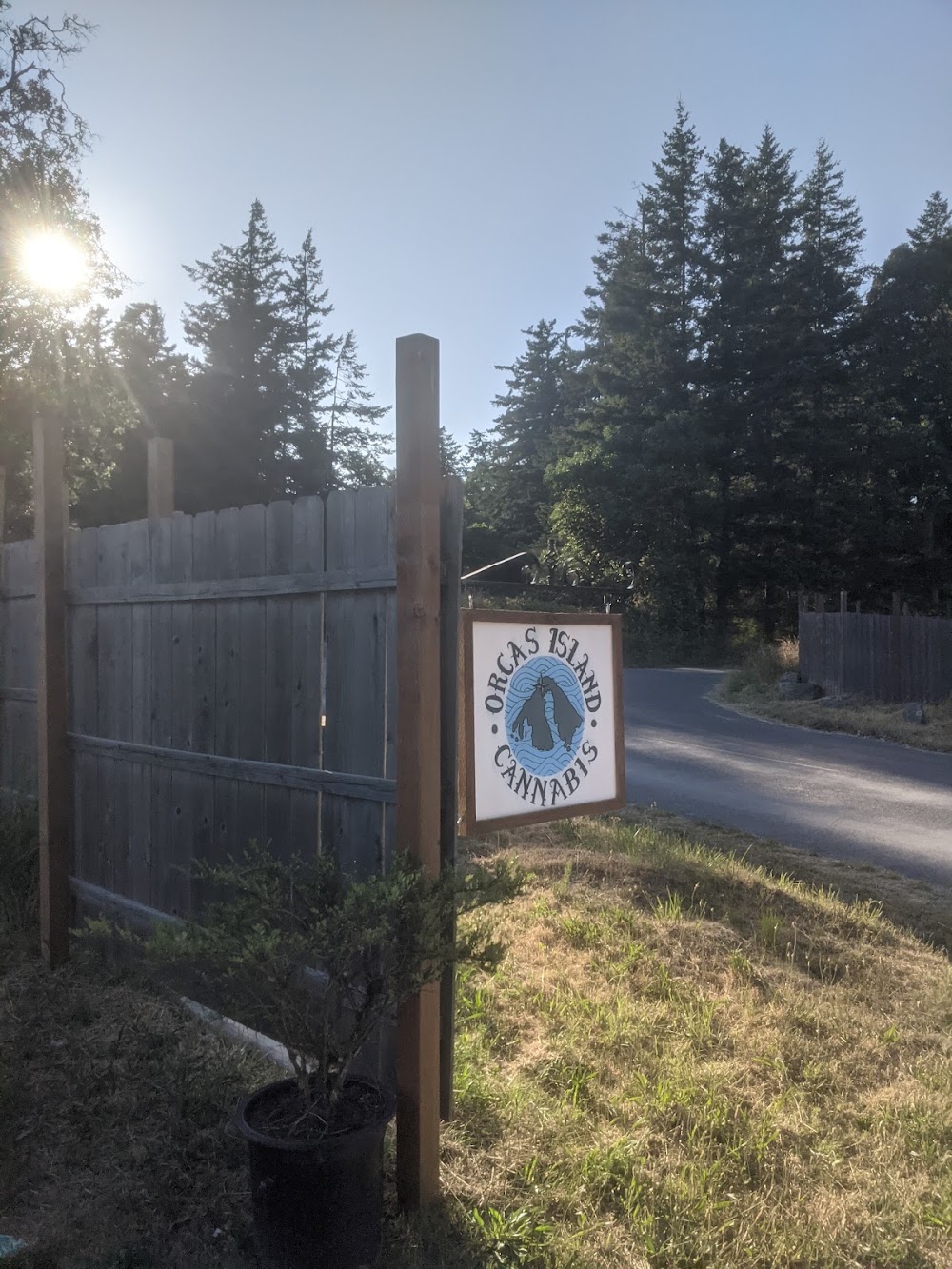 Orcas Island Cannabis photo 2