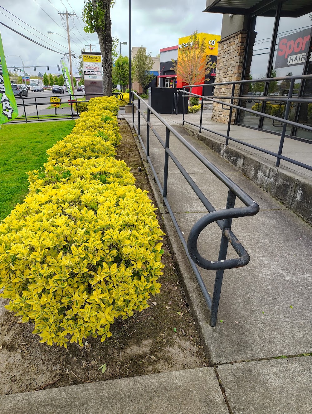 Oregon Bud Company photo 3