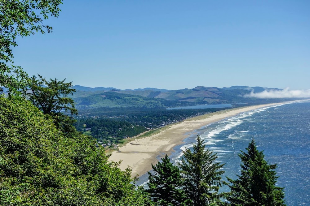 Oregon Coast Cannabis photo 2