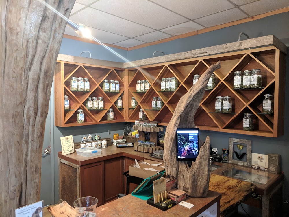 Oregon Coast Cannabis photo 5