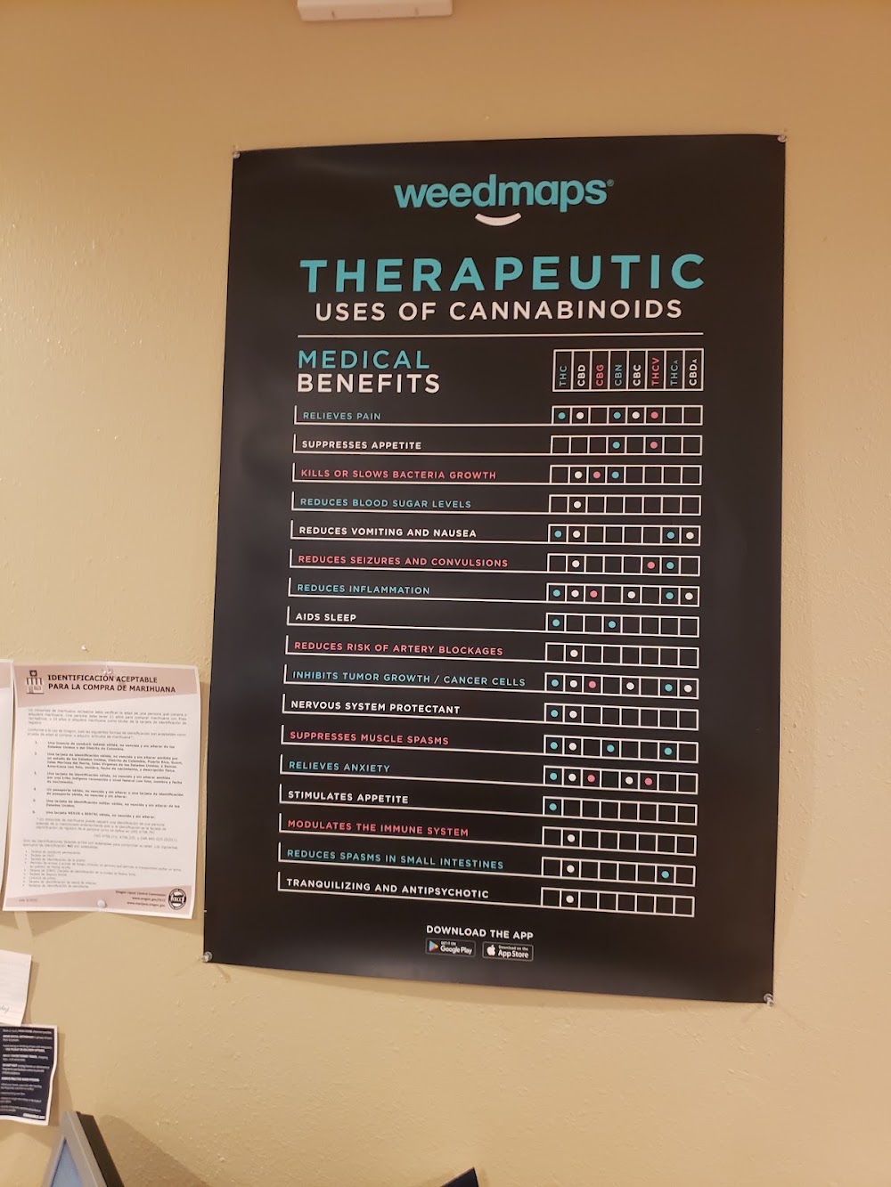 Oregon Grown Cannabis Recreational Dispensary photo 5