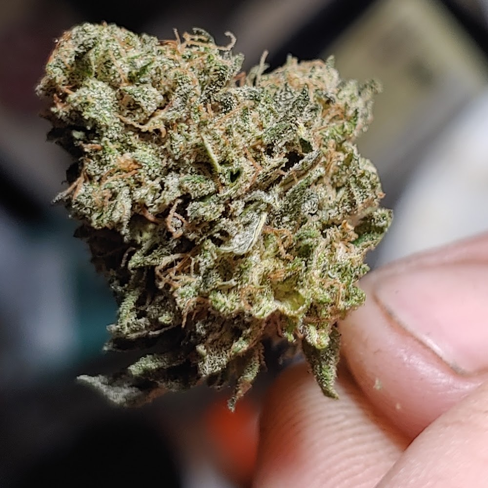 Oregon's Herbal Remedies photo 4