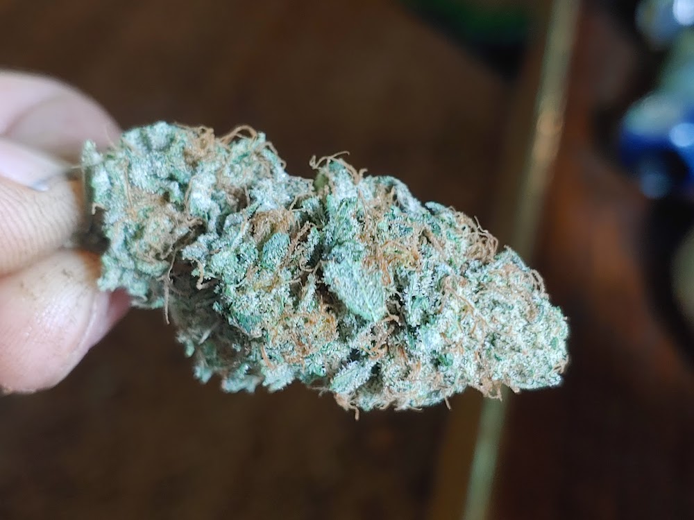 Oregon's Herbal Remedies photo 5