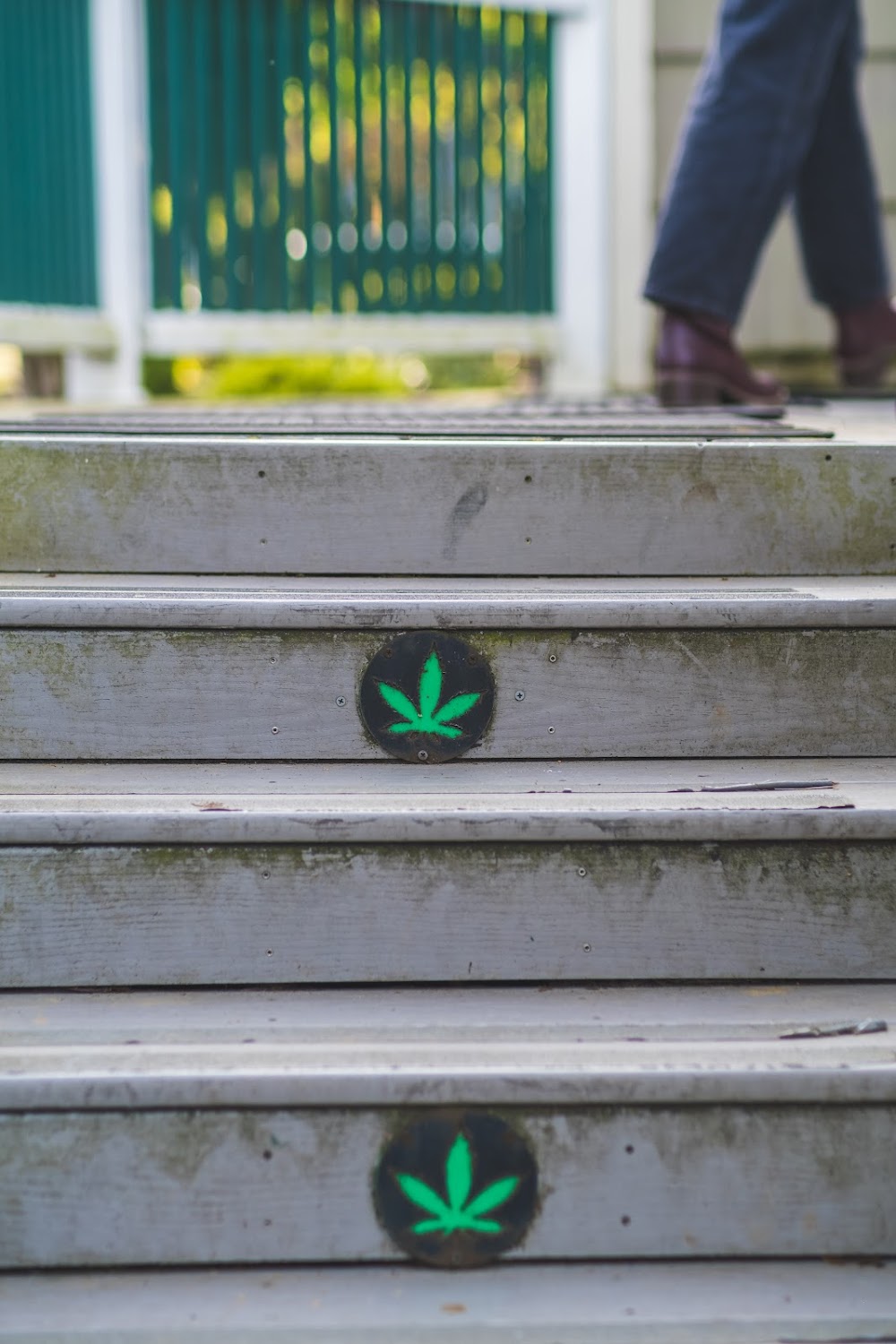 Oregon Weedery photo 3