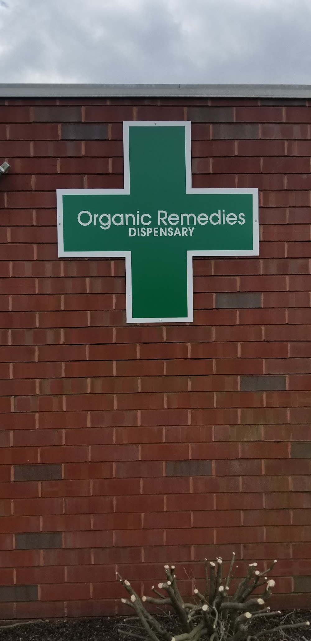 Organic Remedies-Enola photo 8