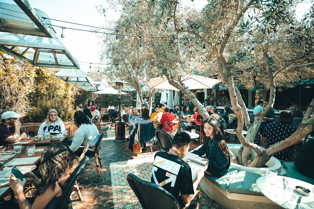 Original Cannabis Cafe photo 3