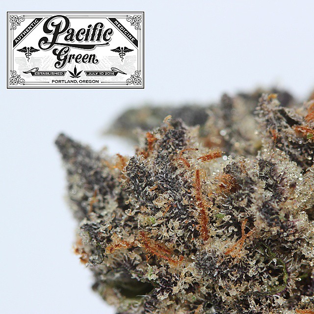Pacific Green photo 4