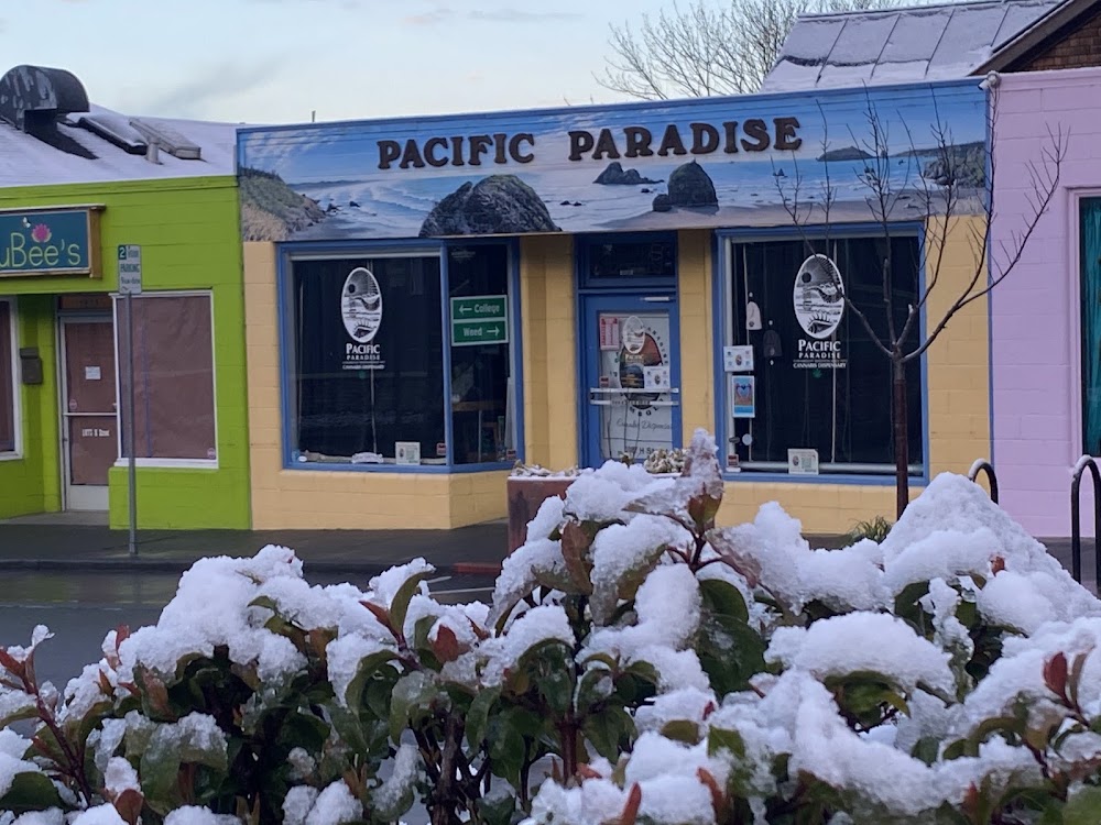 Pacific Paradise photo 1