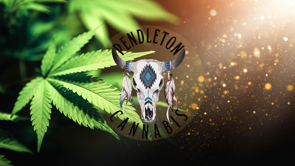 Pendleton Cannabis photo 2