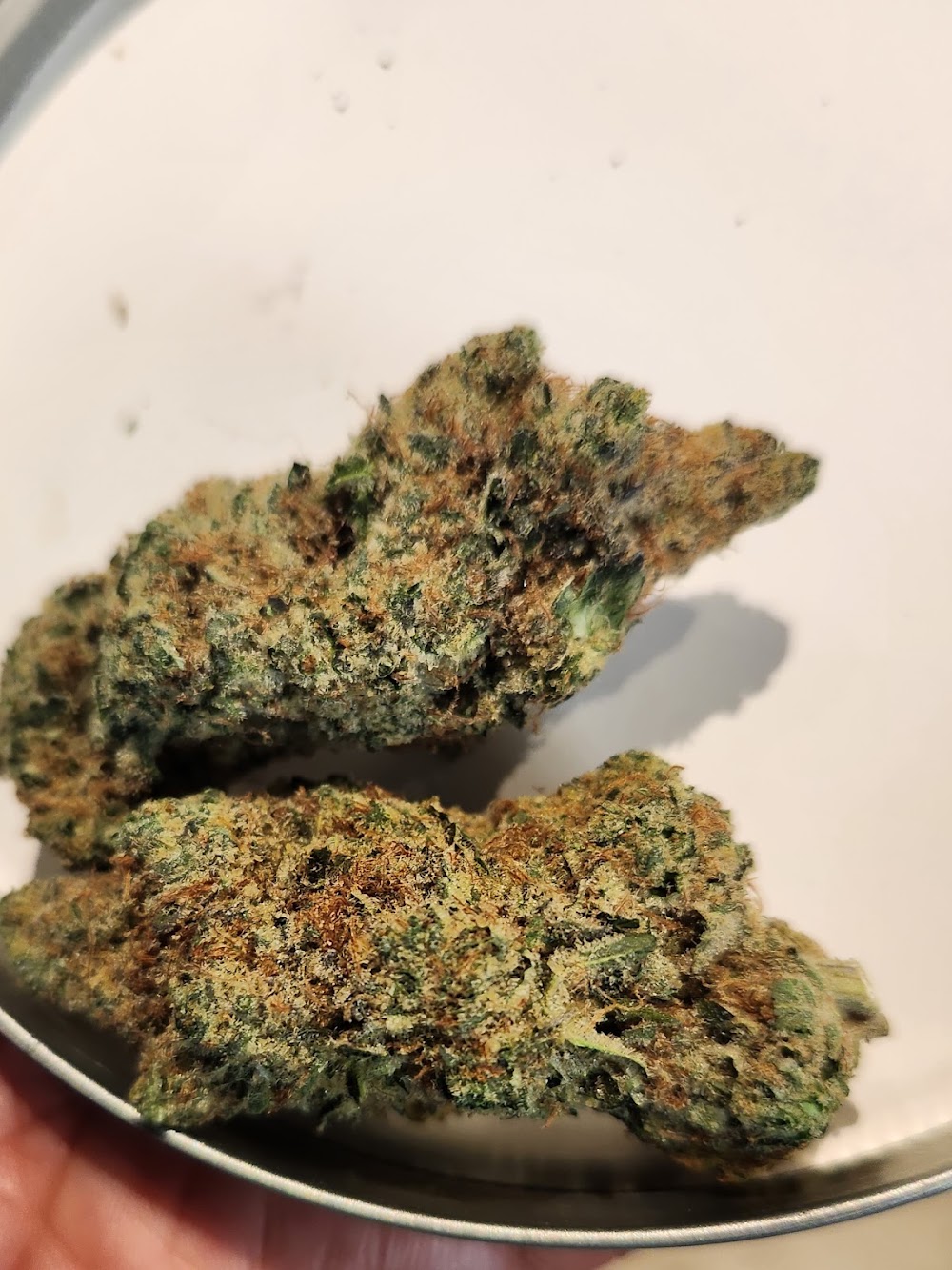 Phamily Trees Dispensary photo 5